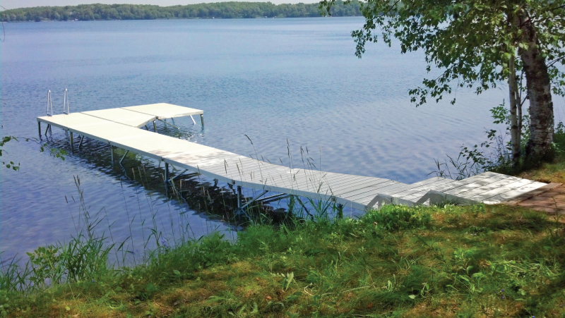 DockStepSection